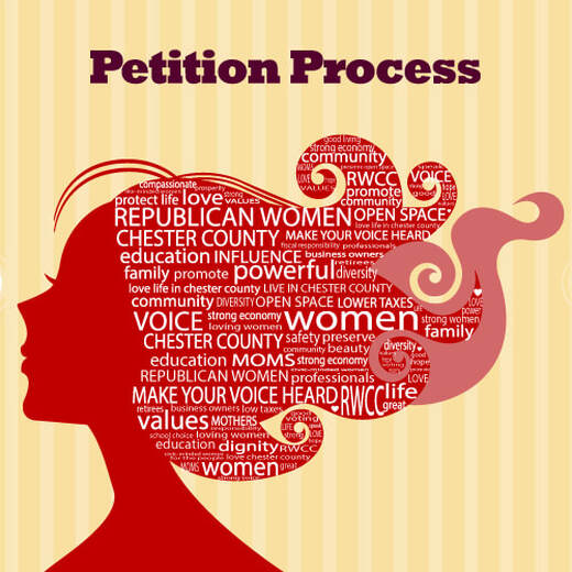 Republican Petition Process